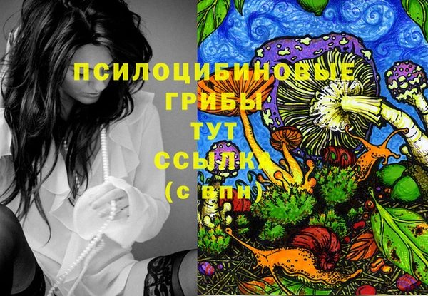 гашик Балахна