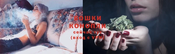 мяу мяу мука Белокуриха