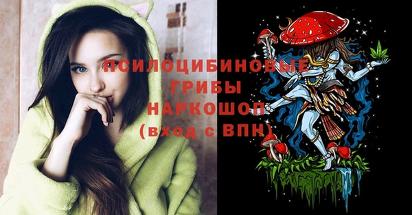 гашик Балахна