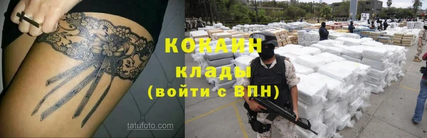 гашик Балахна