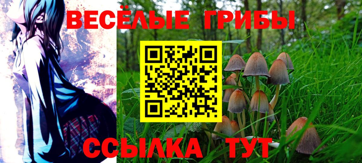 Галлюциногенные грибы мухоморы Усть-Джегута