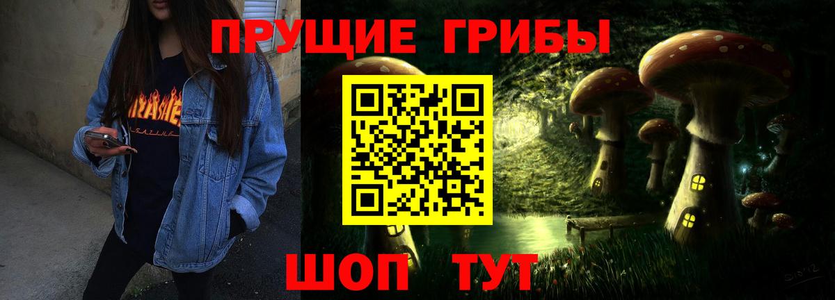 Псилоцибиновые грибы мицелий  Вход с VPN  Усть-Джегута 